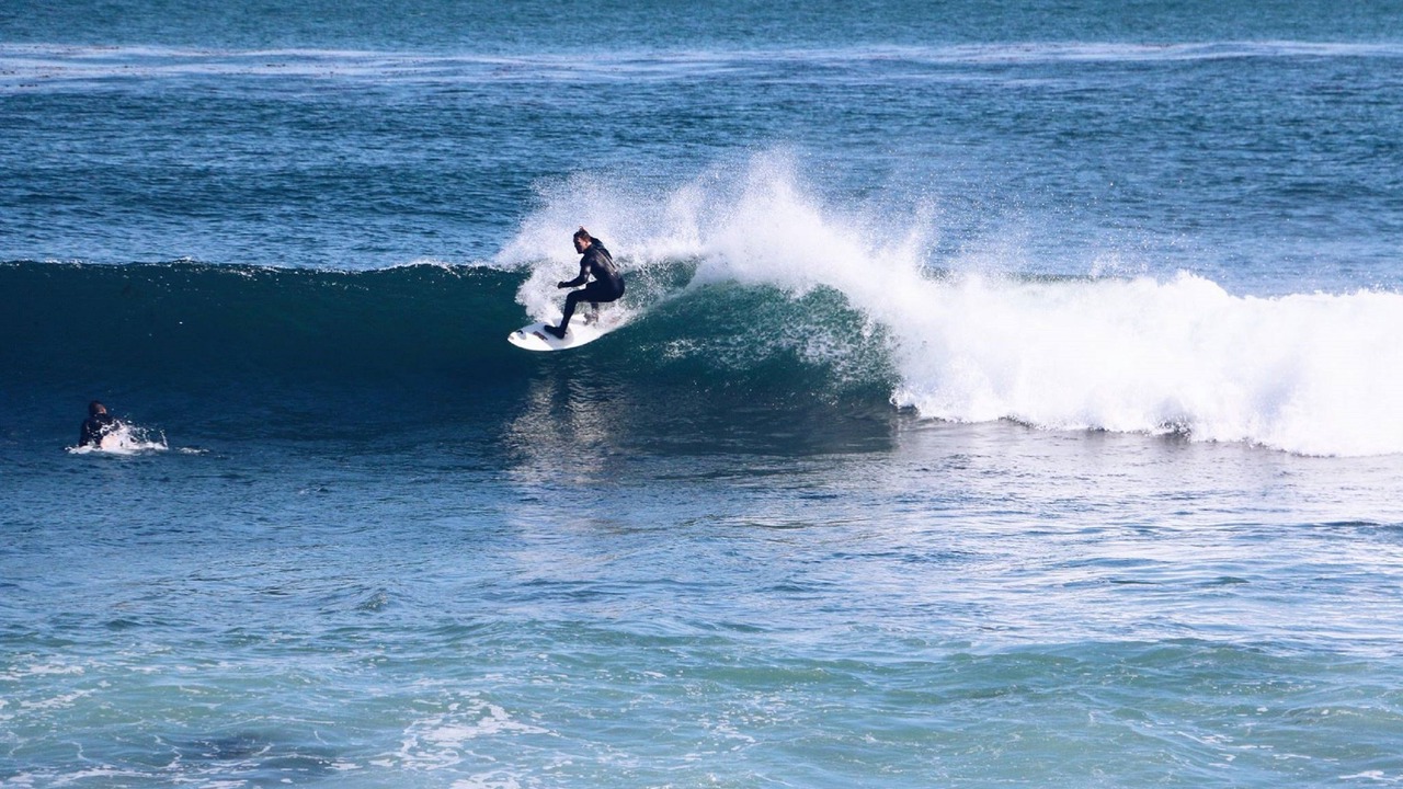 Photo of Others in Westside Santa Cruz