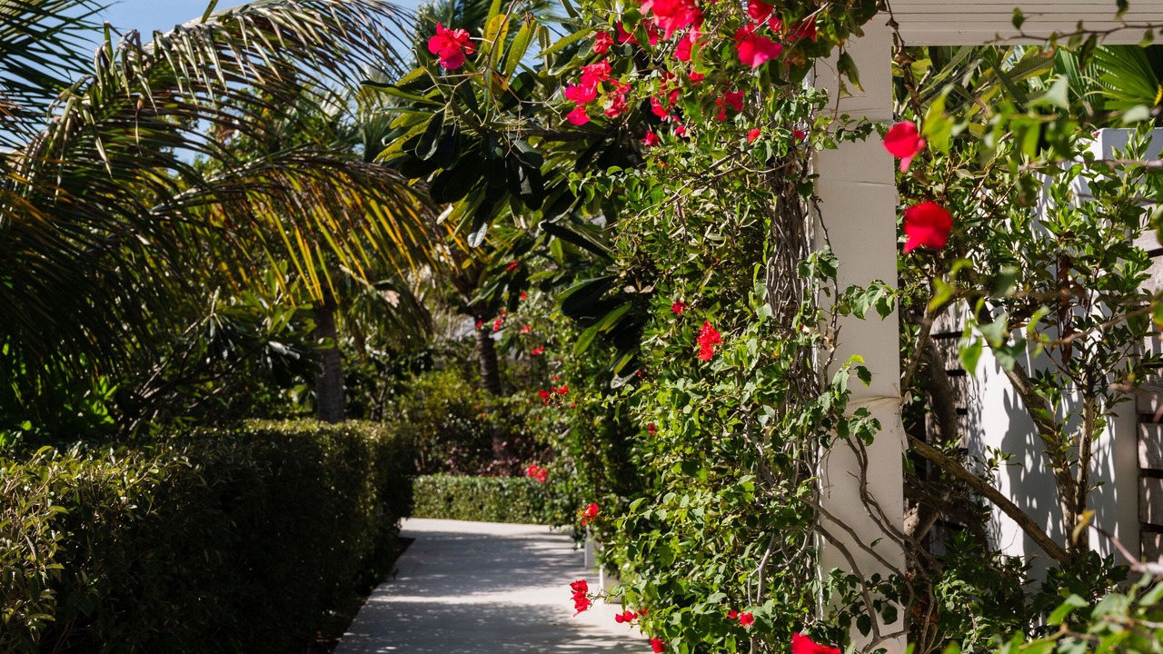Photo of Outdoor in Pine Cay
