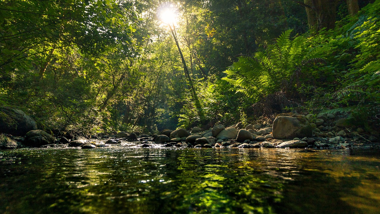 Photo of Outdoor in Aptos