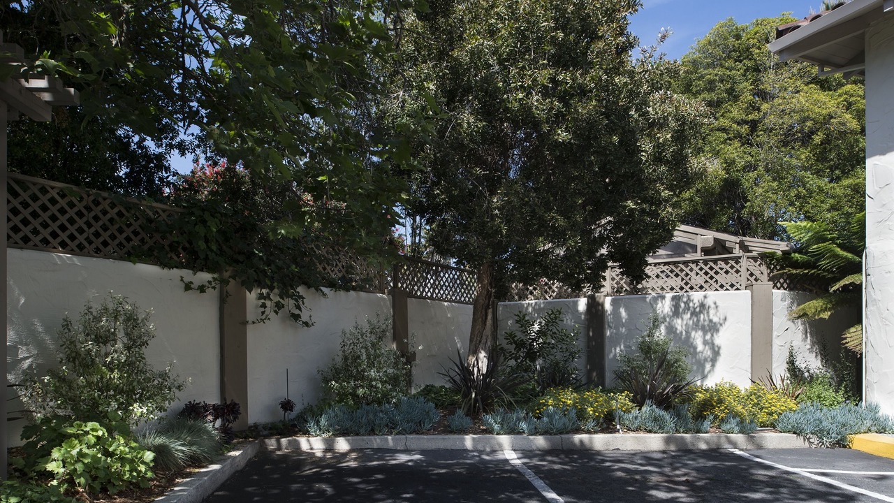 Photo of Outdoor in Westside Santa Cruz