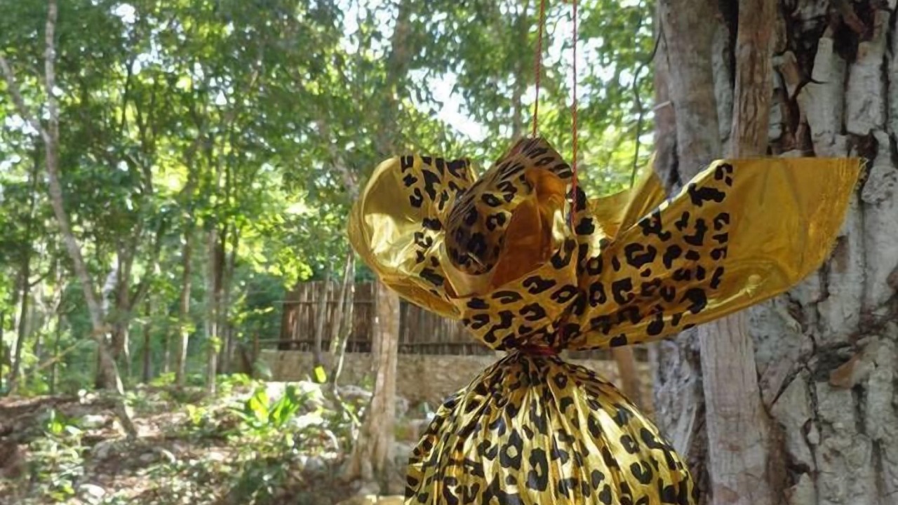 Photo of Outdoor in Macario Gomez