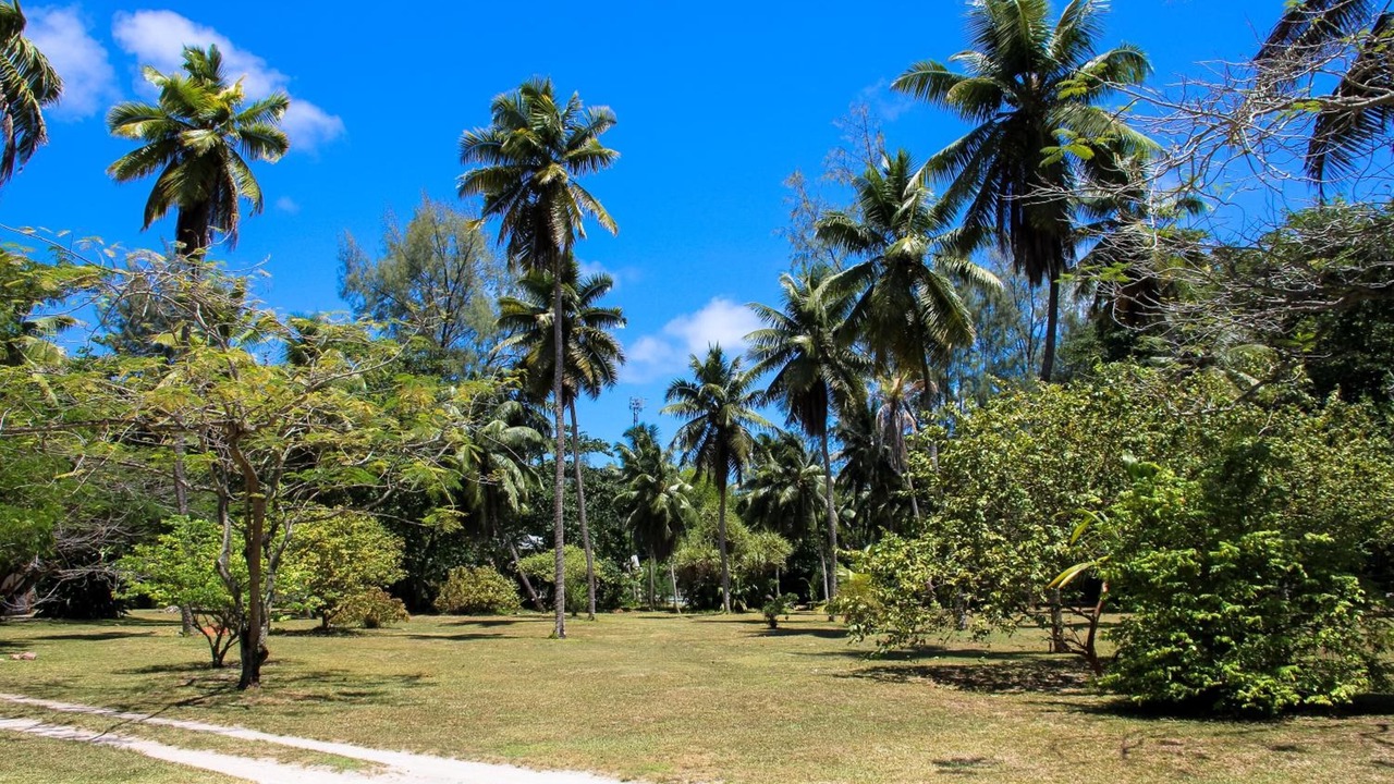Photo of Outdoor in Praslin Island