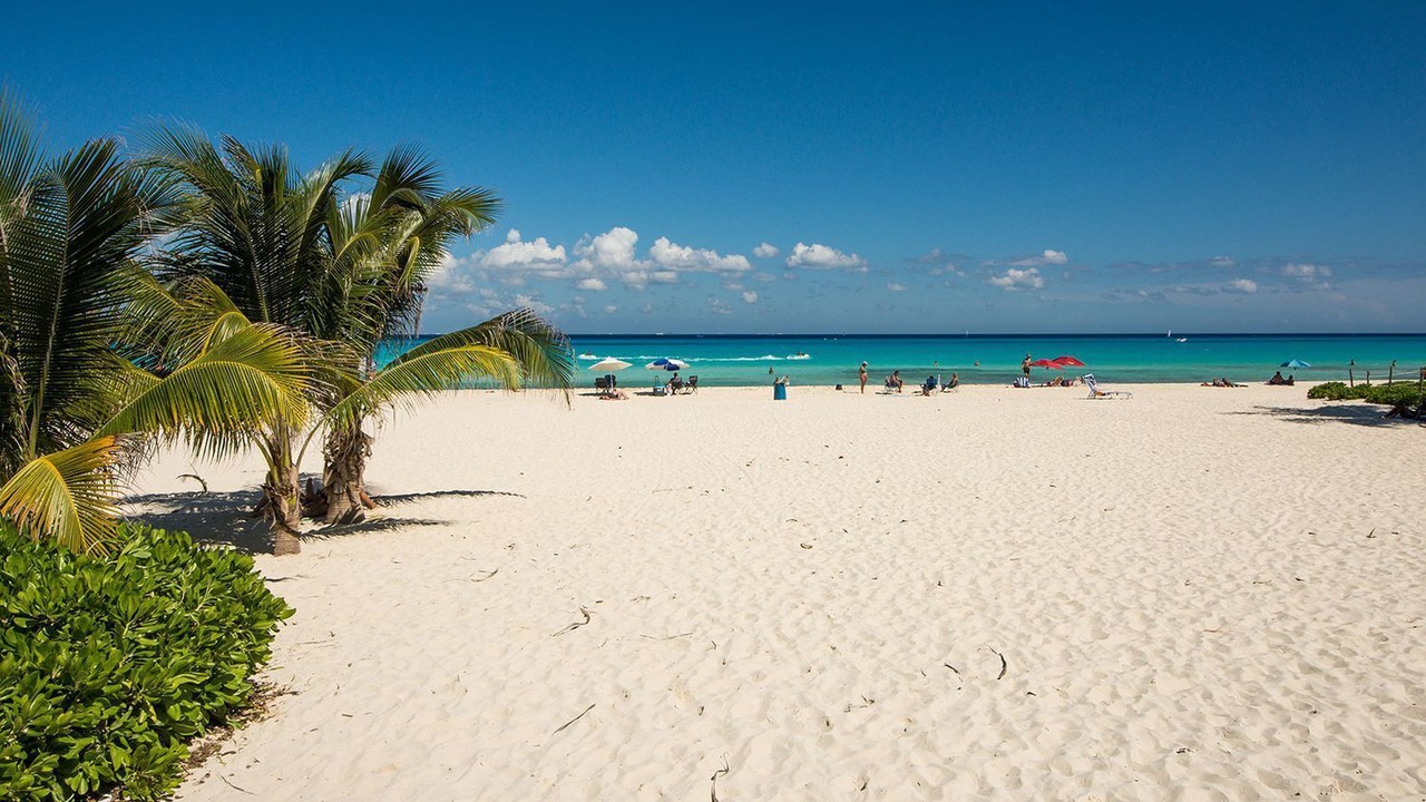 Photo of Others in Playacar Beach