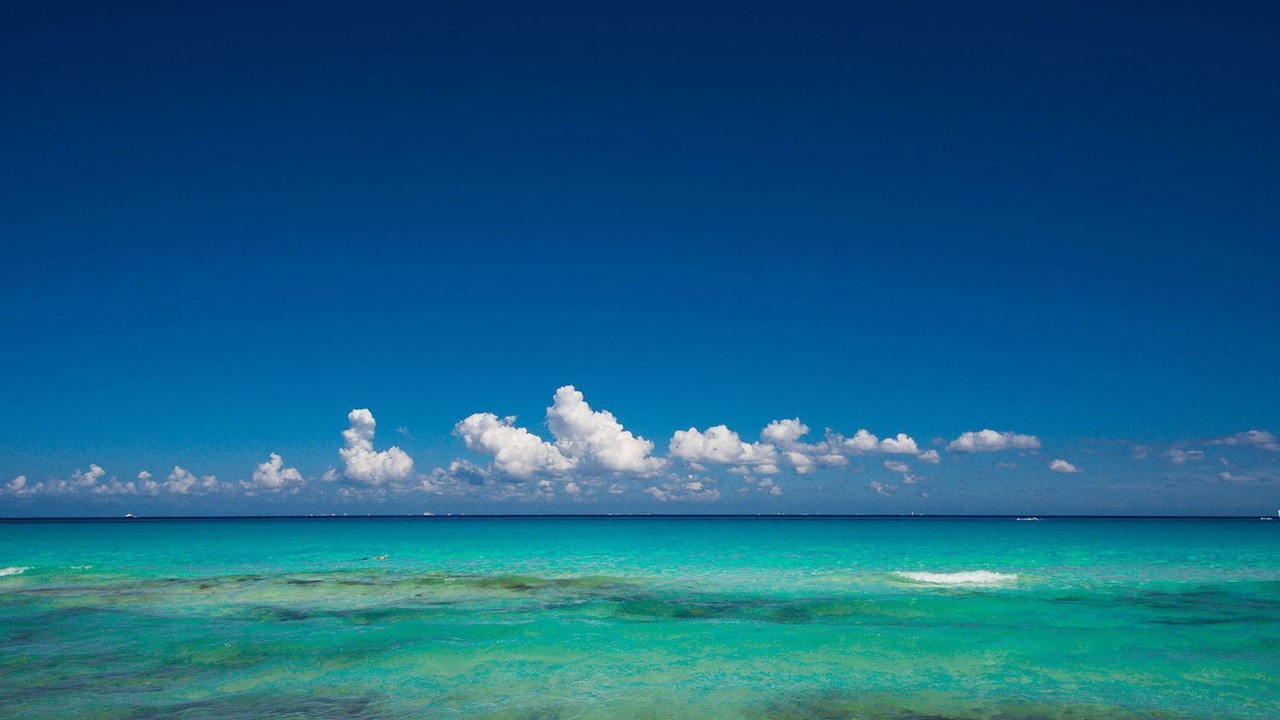 Photo of Others in Playacar Beach