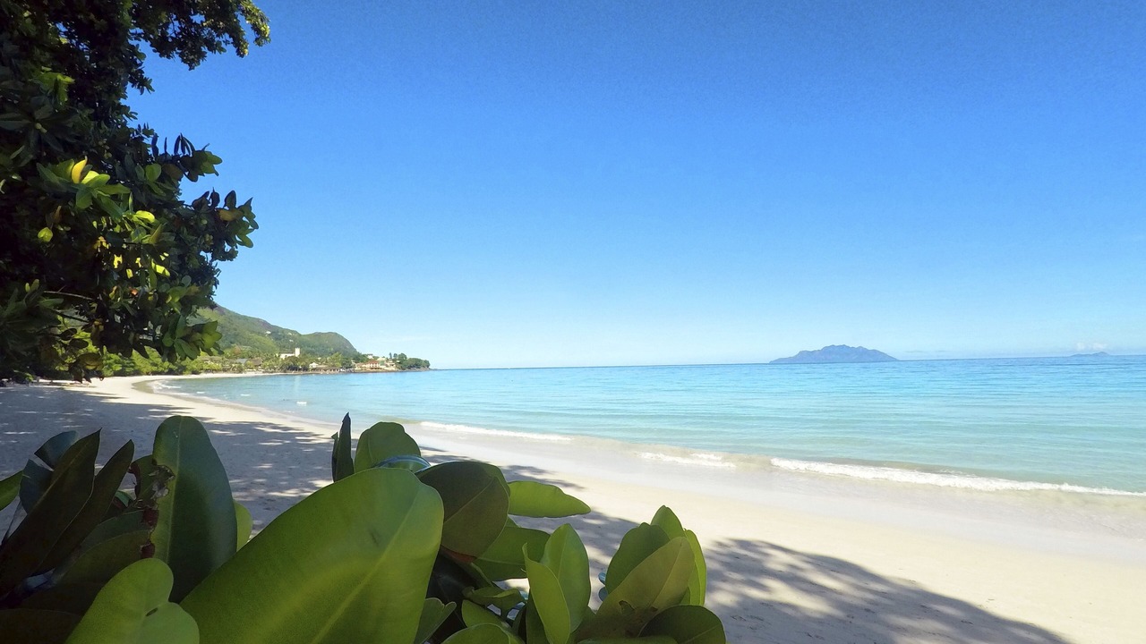 Photo of Others in Beau Vallon