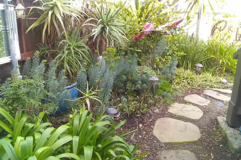 Photo of Outdoor in Aptos