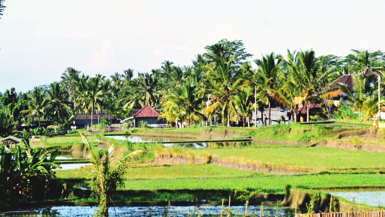 Photo of Others in Kenderan