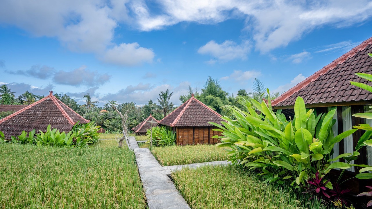 Photo of Outdoor in Kenderan