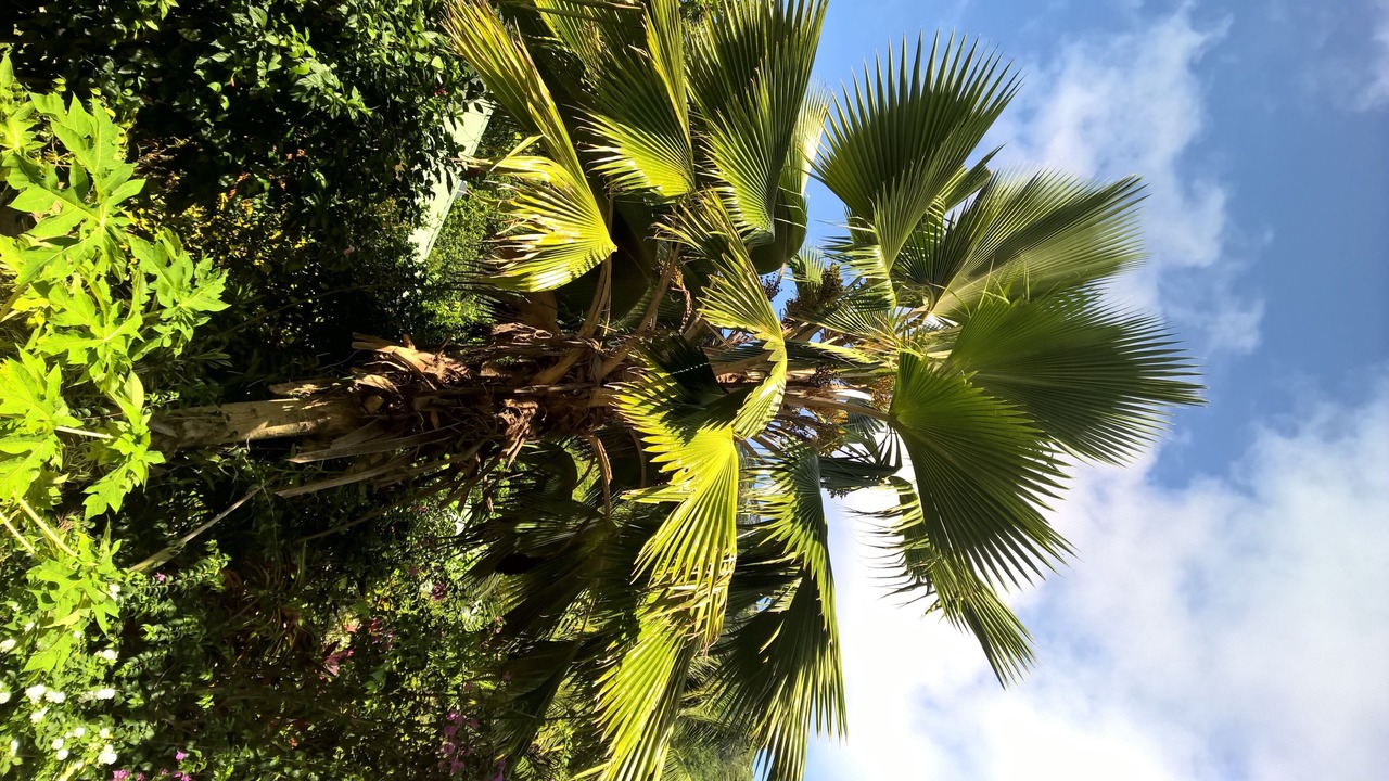 Photo of Outdoor in La Passe
