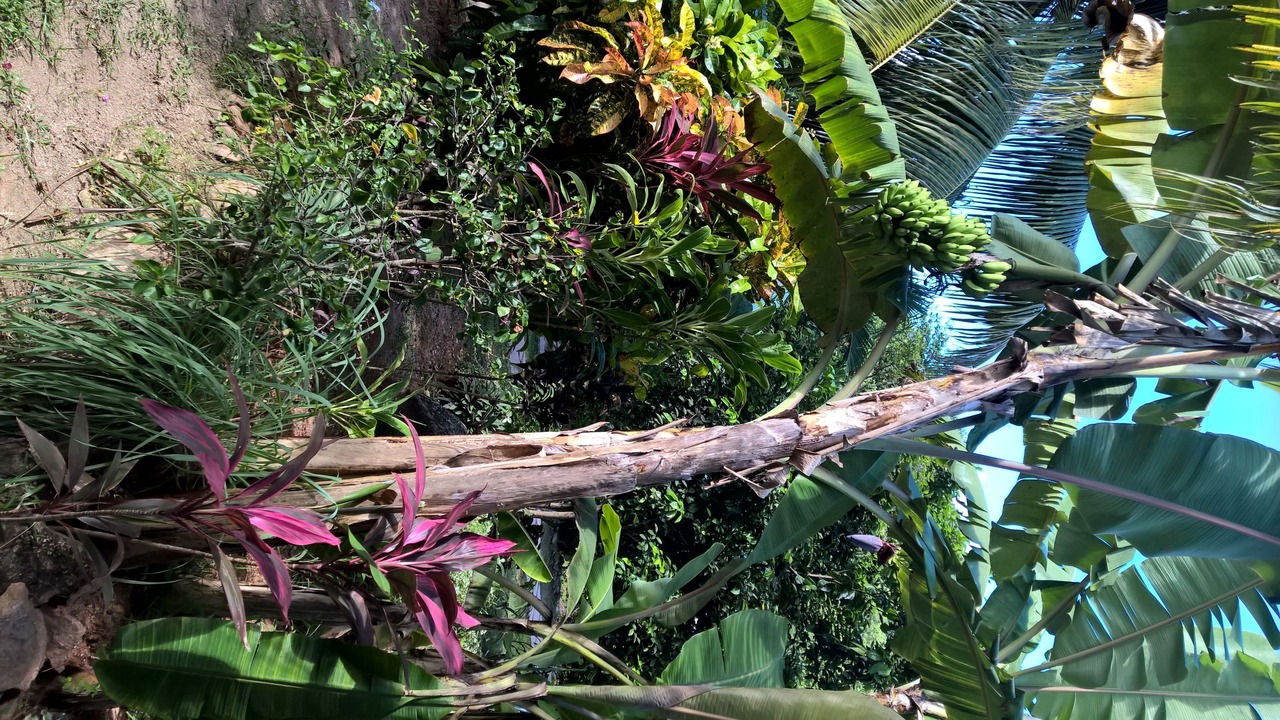 Photo of Outdoor in La Passe