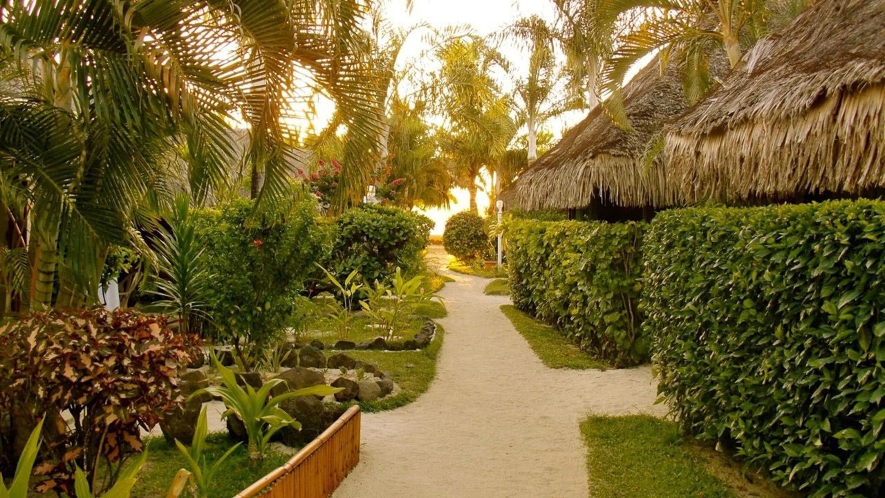 Photo of Outdoor in Matira
