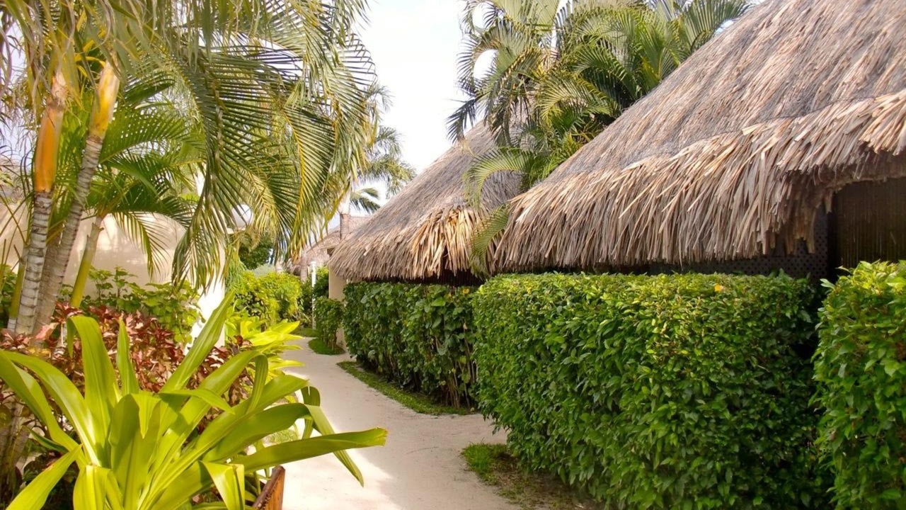 Photo of Outdoor in Matira