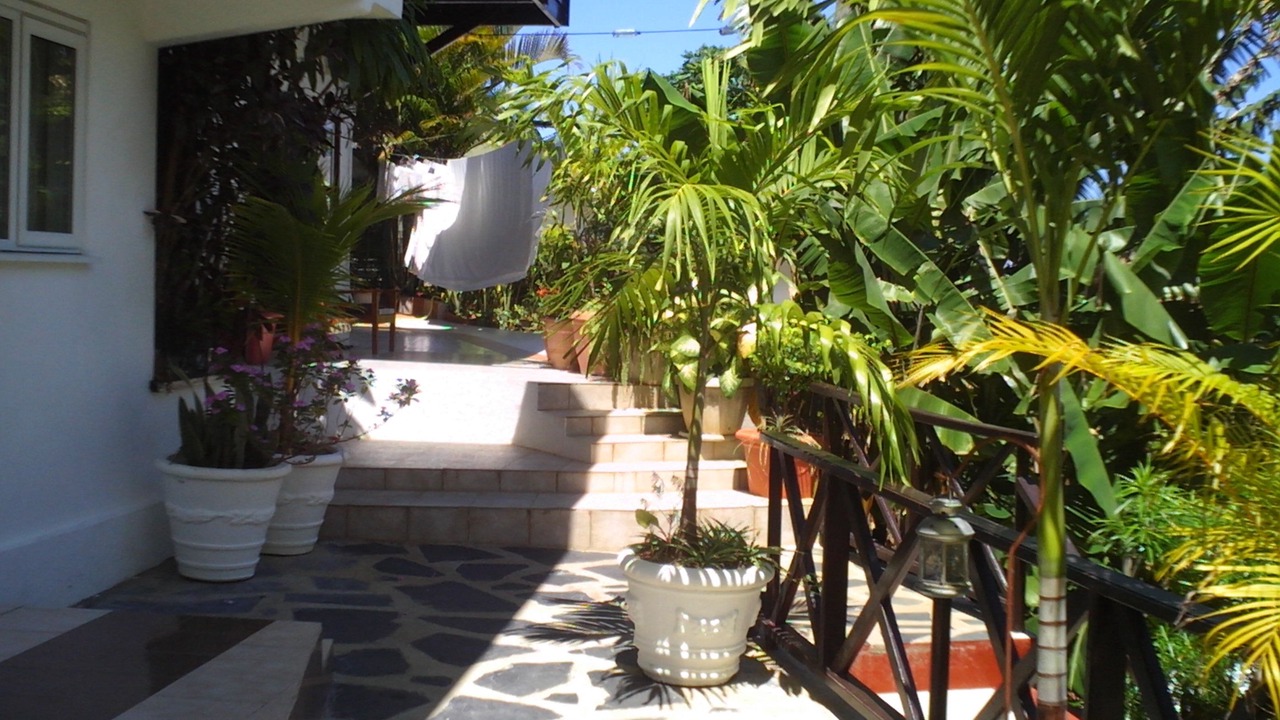 Photo of Outdoor in Anse Etoile