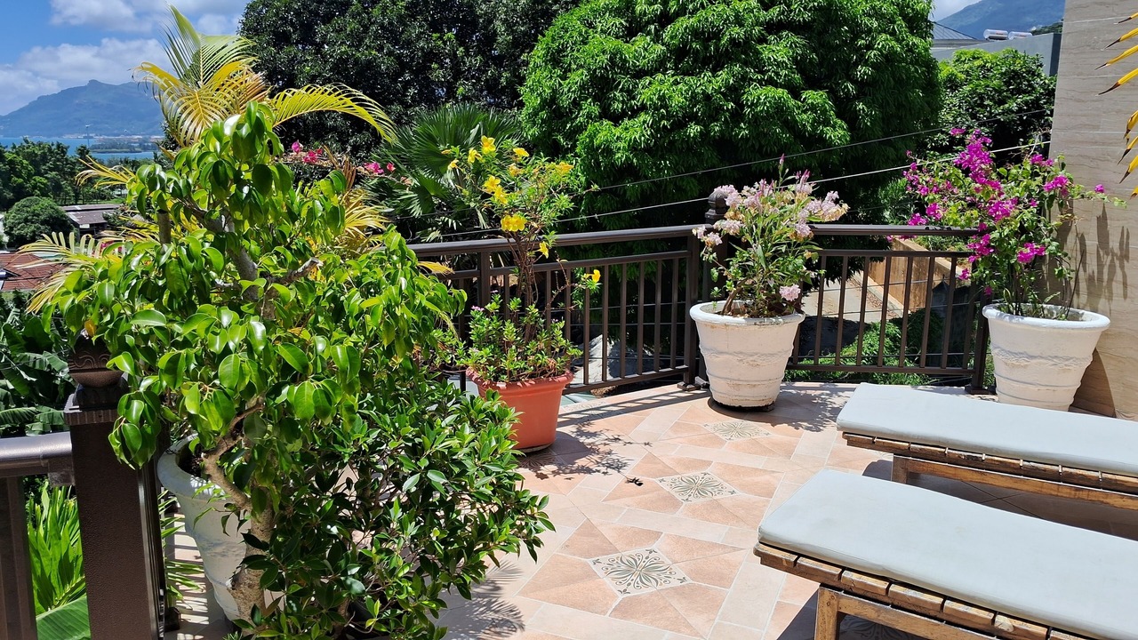 Photo of Outdoor in Anse Etoile