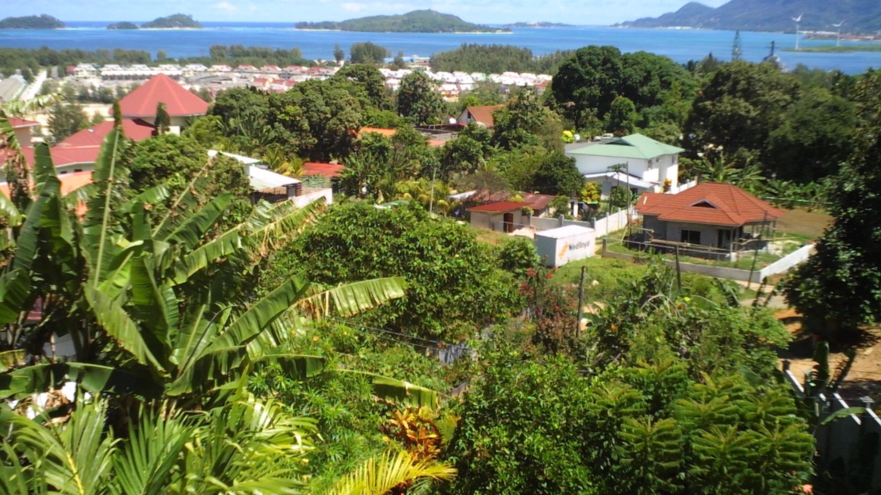 Photo of Outdoor in Anse Etoile