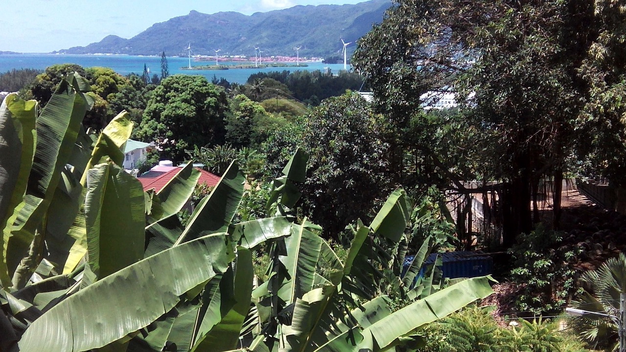 Photo of Others in Anse Etoile