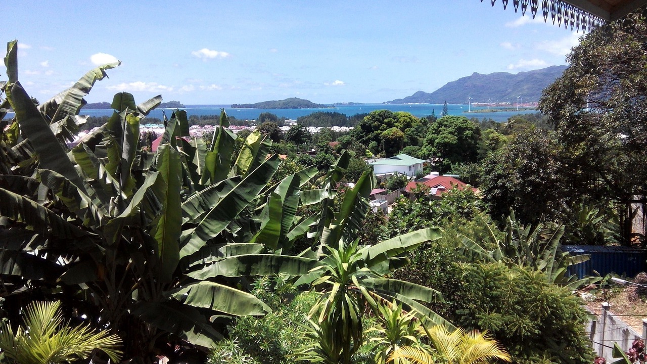 Photo of Others in Anse Etoile