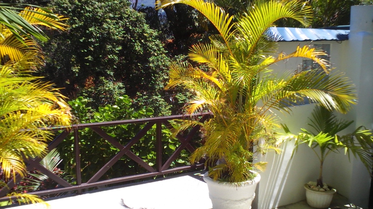 Photo of Outdoor in Anse Etoile