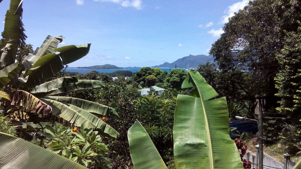 Photo of Others in Anse Etoile