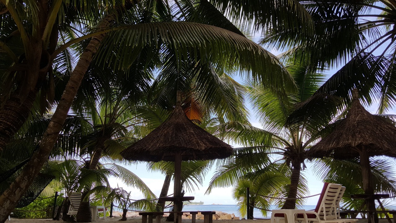 Photo of Others in Anse Kerlan
