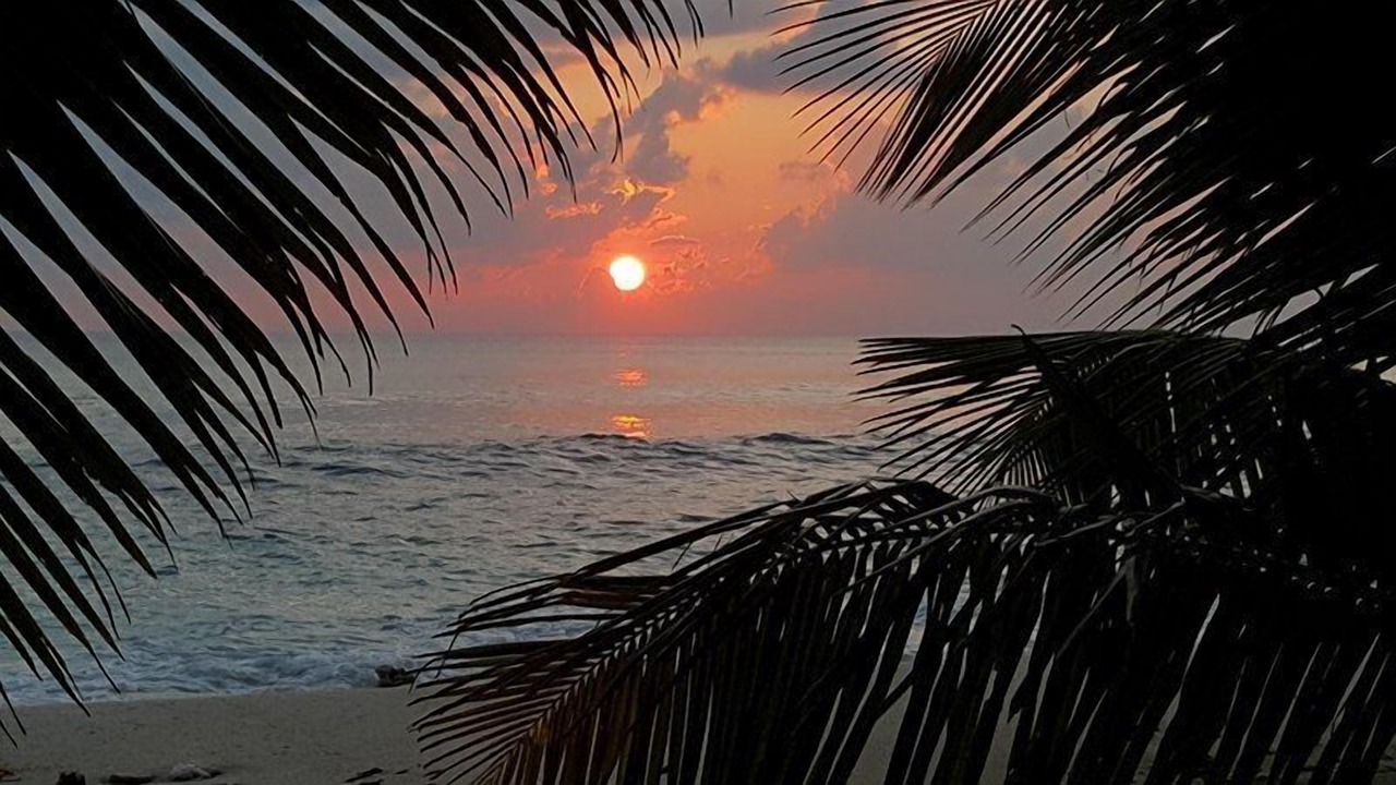 Photo of Others in Anse Kerlan