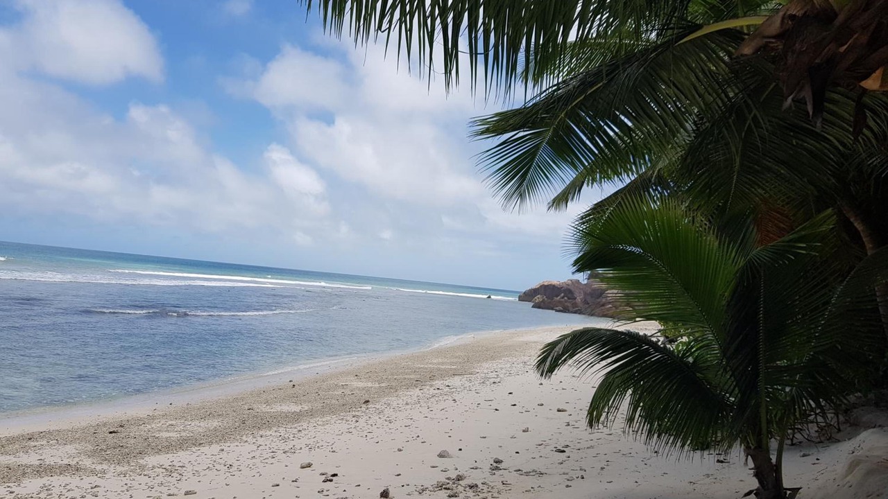 Photo of Others in Anse Kerlan