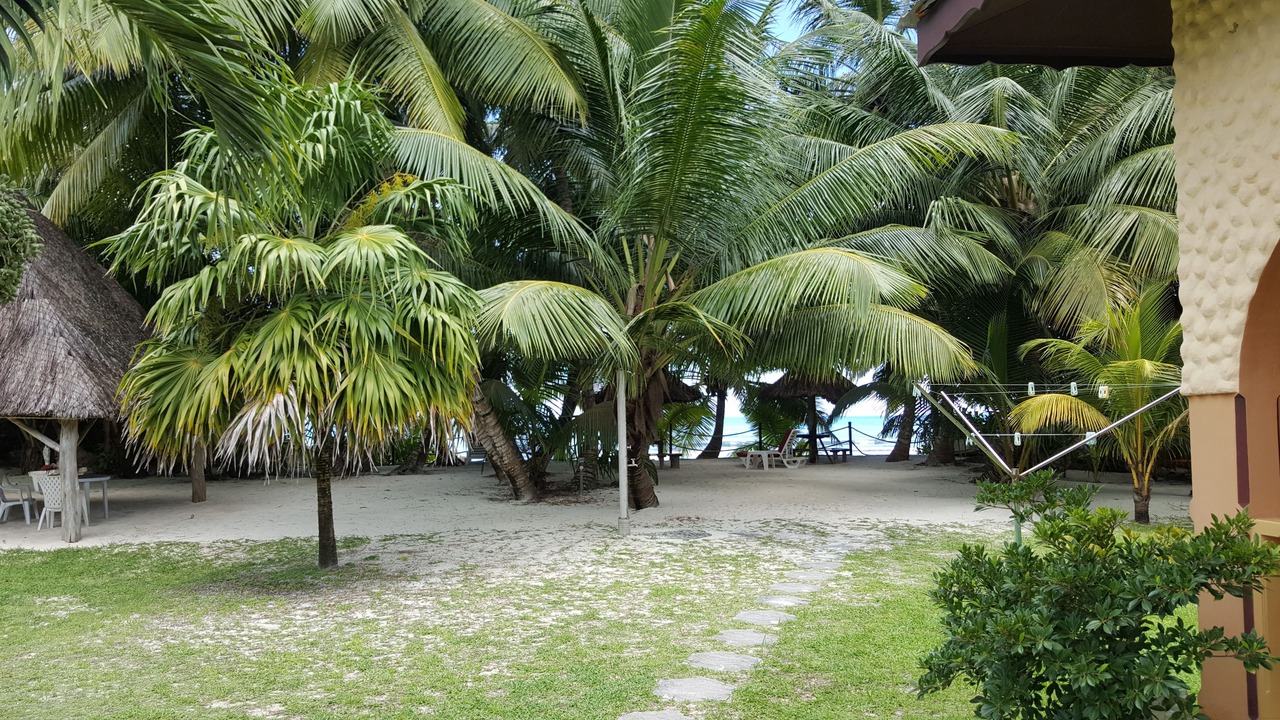 Photo of Others in Anse Kerlan