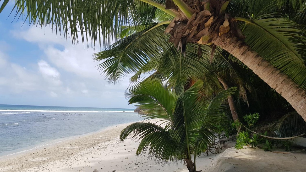 Photo of Others in Anse Kerlan