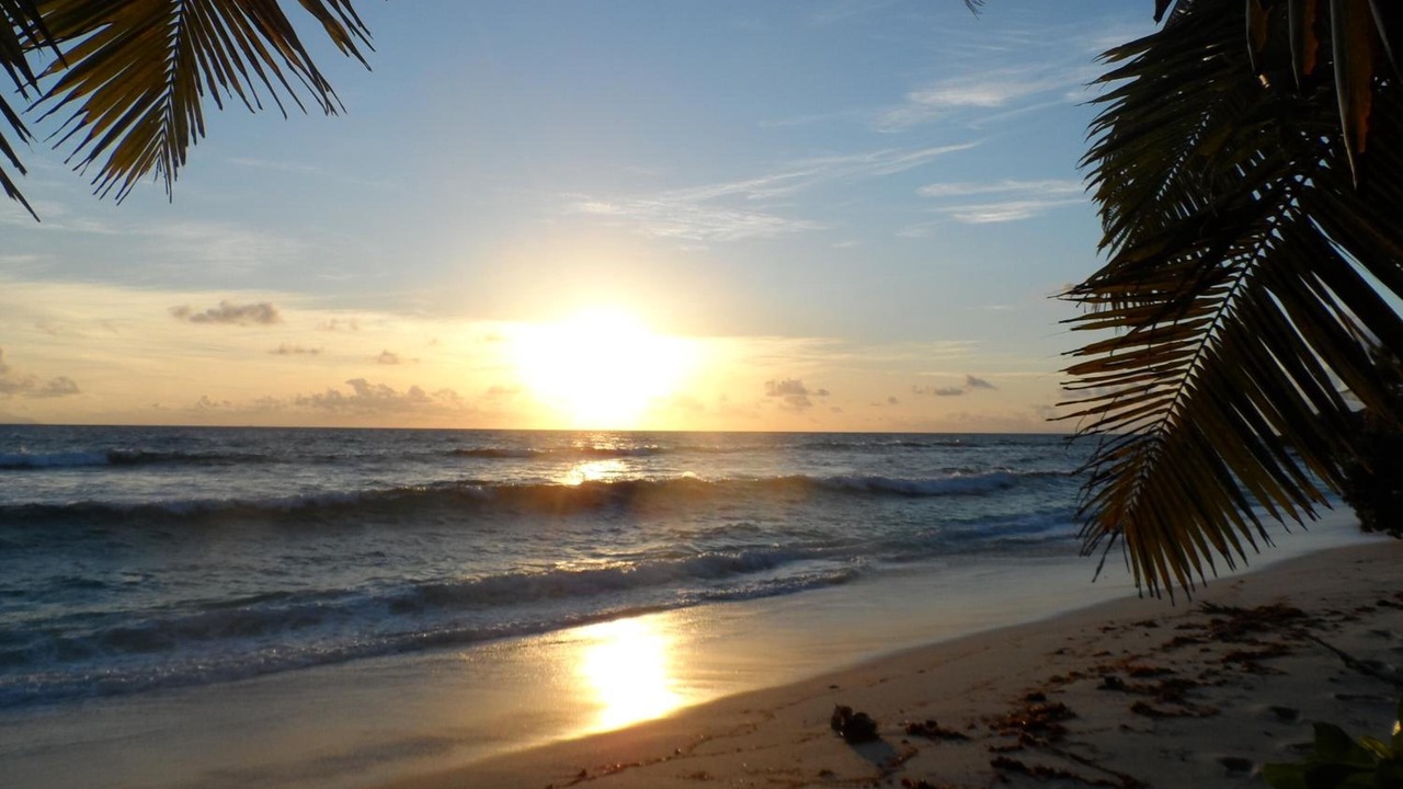 Photo of Others in Anse Kerlan