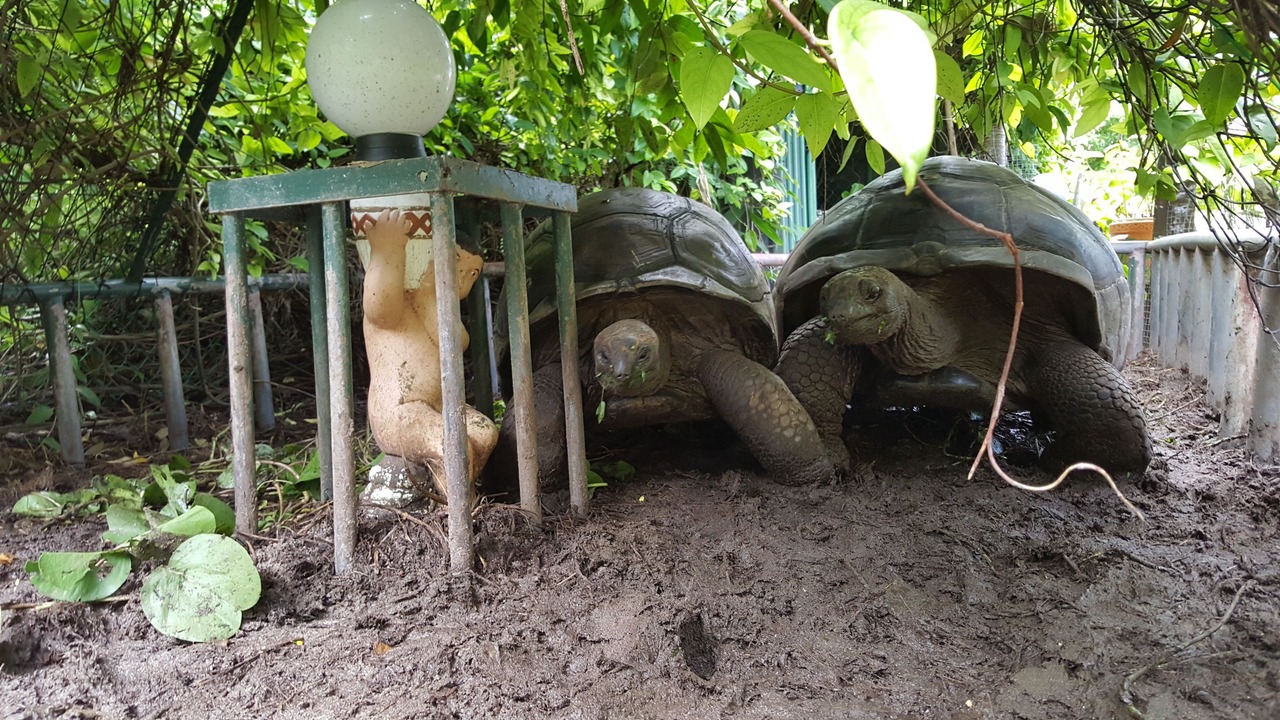 Photo of Outdoor in Anse Kerlan