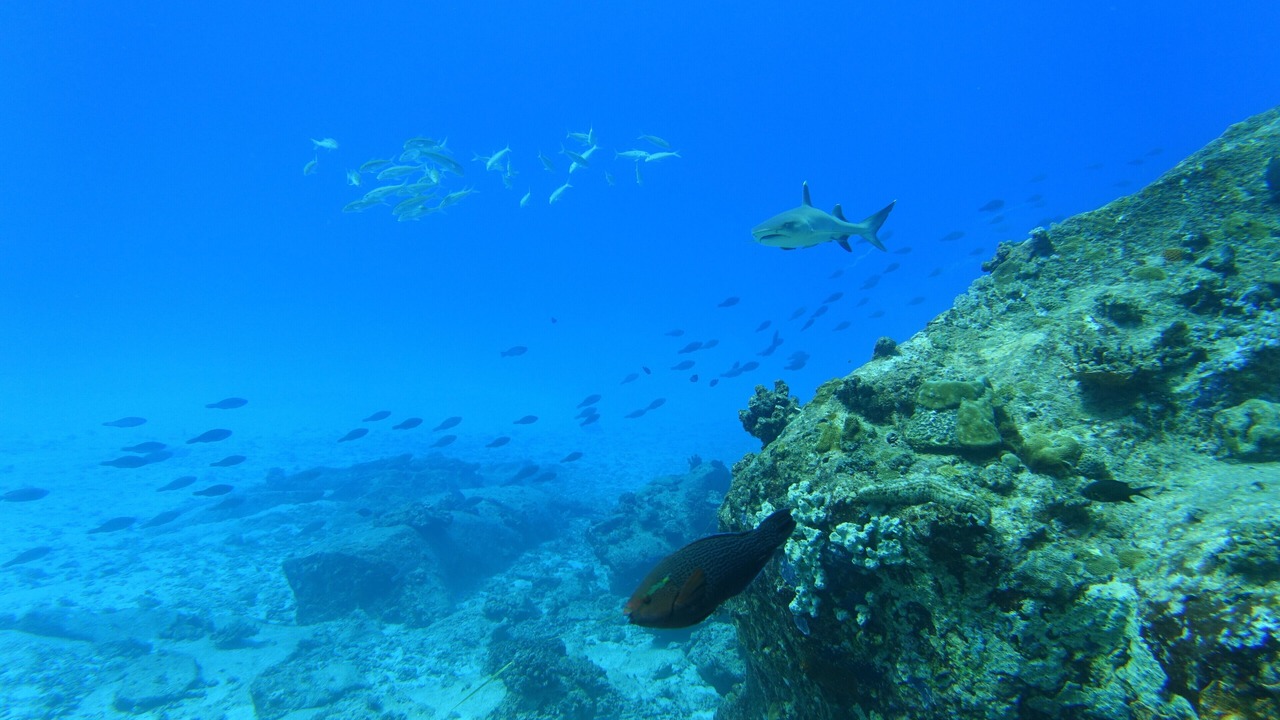 Photo of Outdoor in Silhouette Island