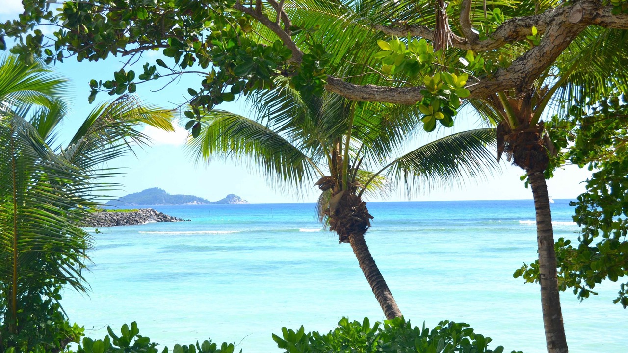 Photo of Others in Silhouette Island