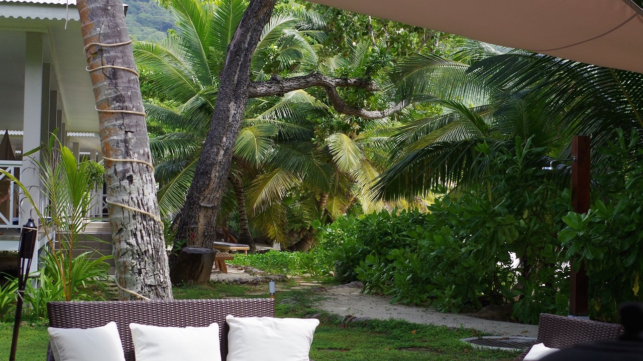 Photo of Patio Balcony in Silhouette Island