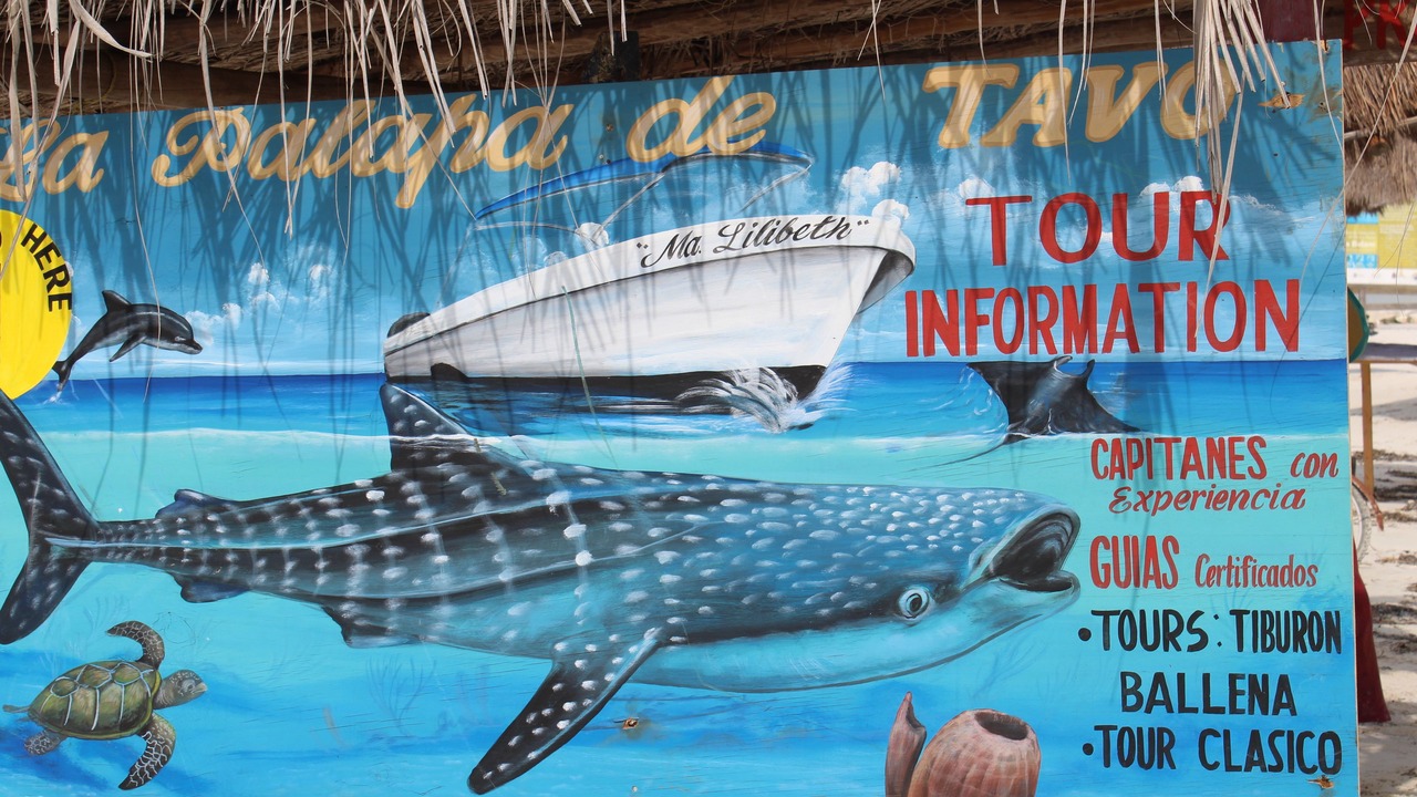 Photo of Others in Chiquila