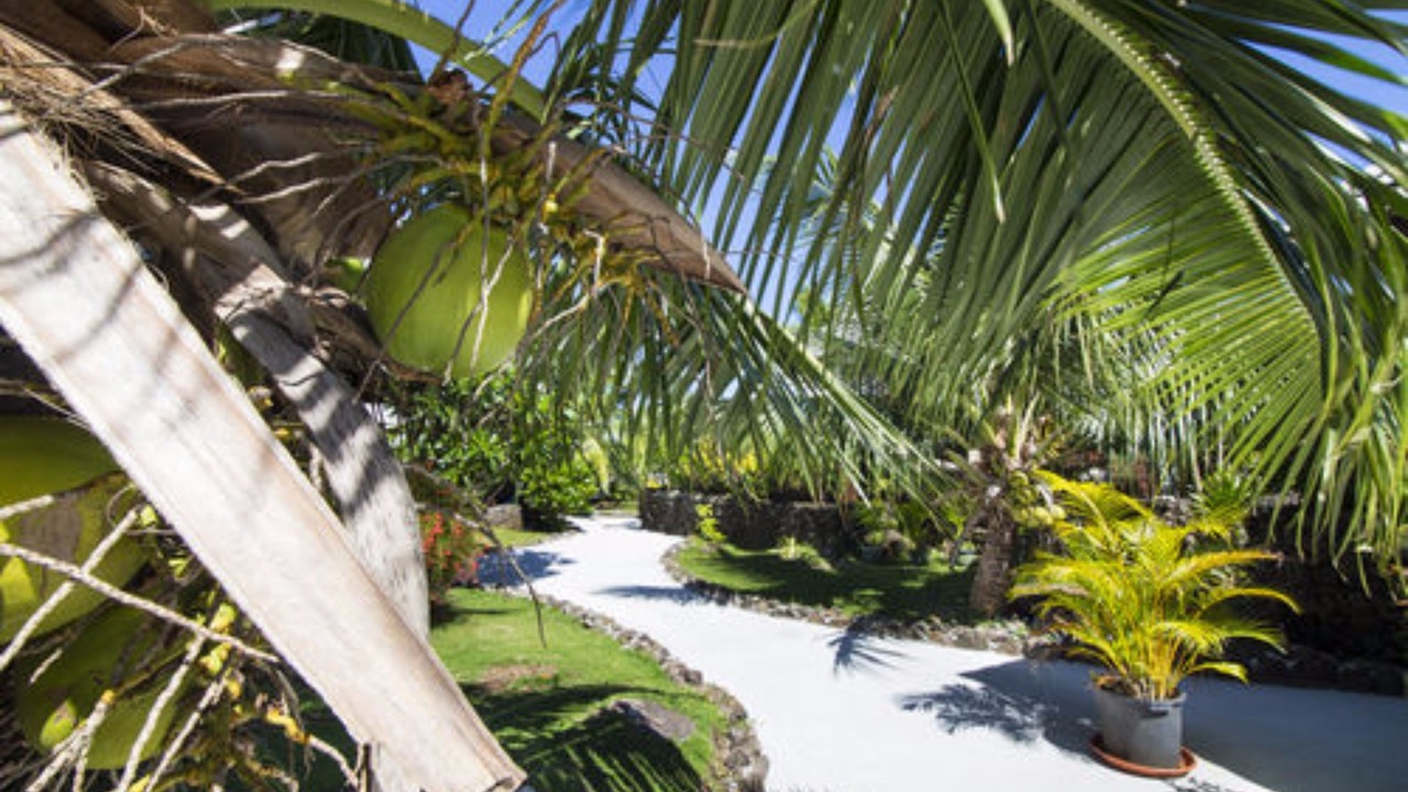 Photo of Outdoor in Vaitape