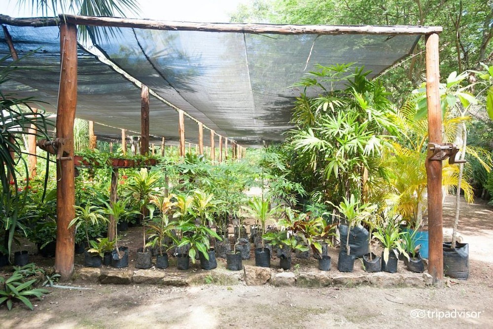 Photo of Outdoor in Villa Juarez