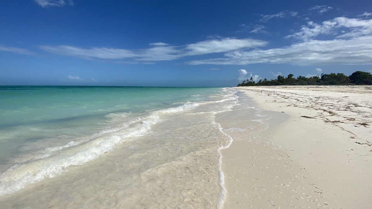 Photo of Others in Isla Holbox