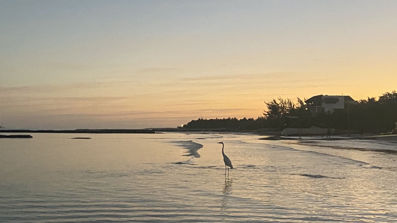 Photo of Outdoor in Isla Holbox