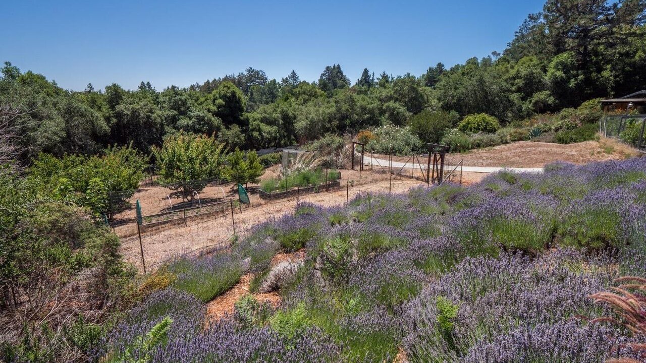 Photo of Outdoor in Day Valley
