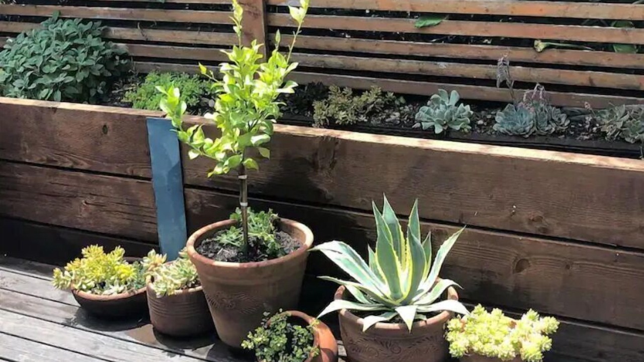 Photo of Outdoor in Rio del Mar