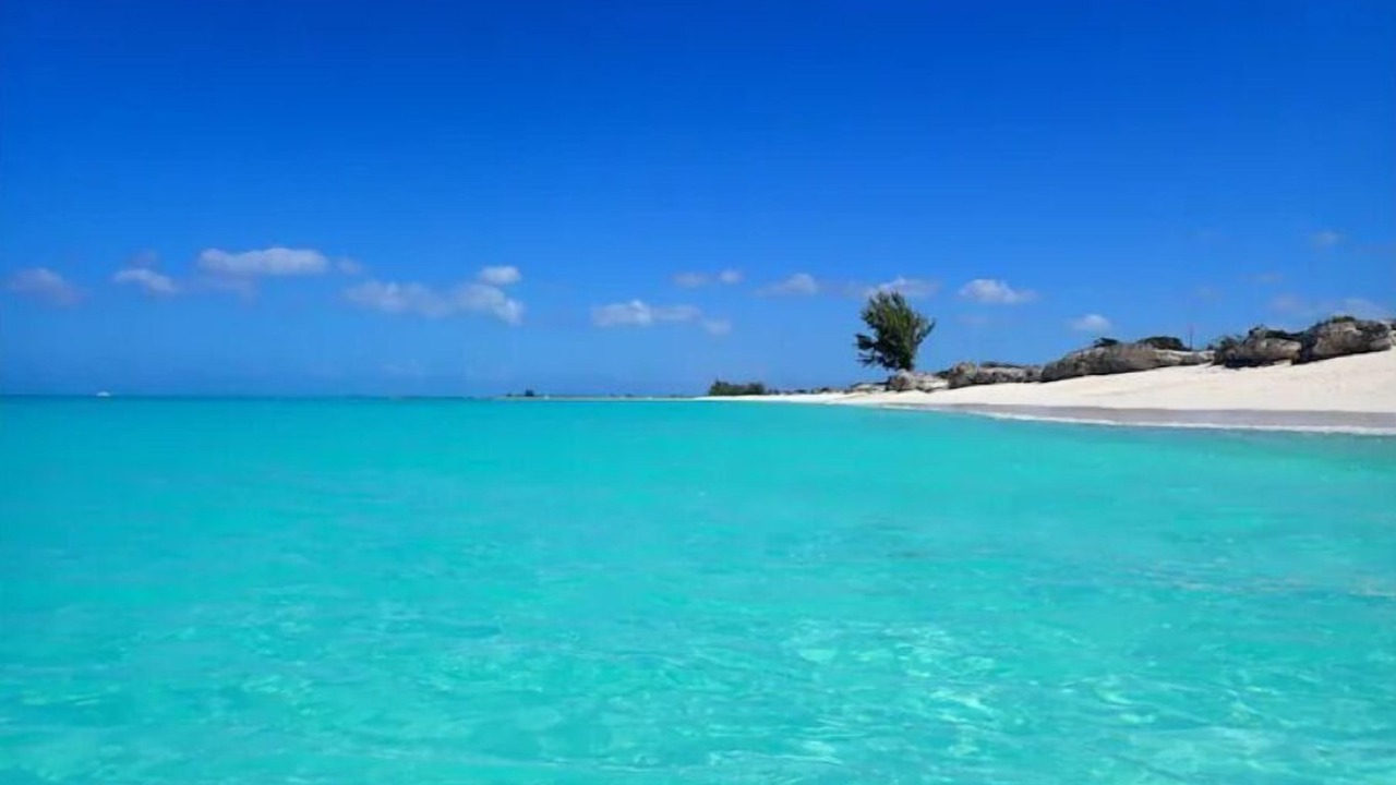 Photo of Others in Providenciales
