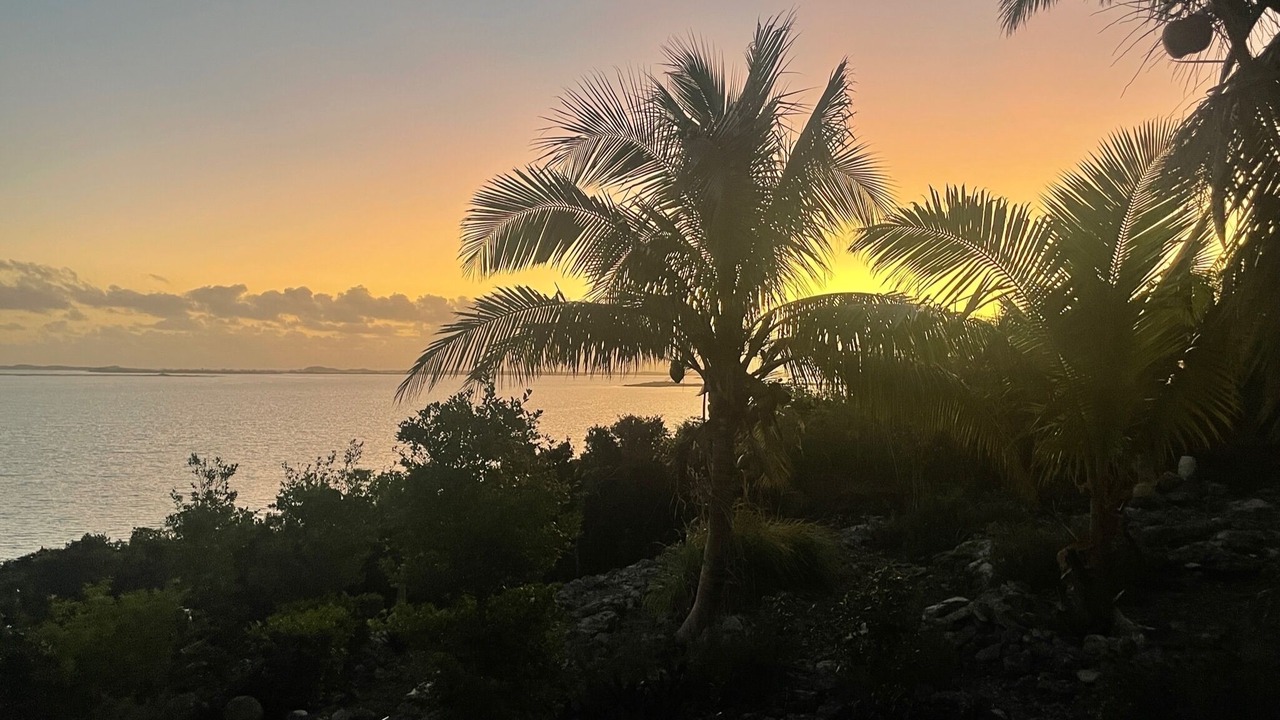 Photo of Others in North Caicos