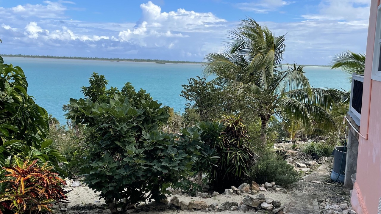 Photo of Others in North Caicos