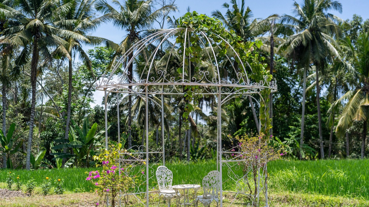Photo of Outdoor in Melayang