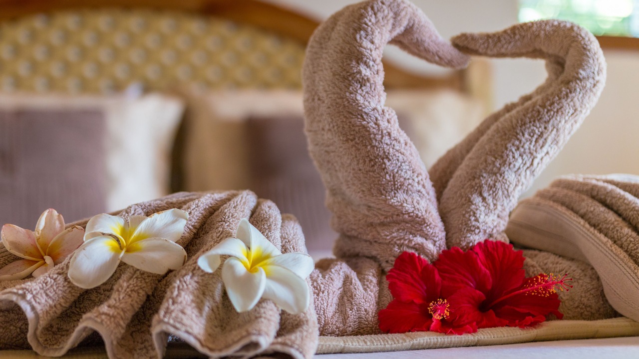 Photo of Bedroom in Anse Royale