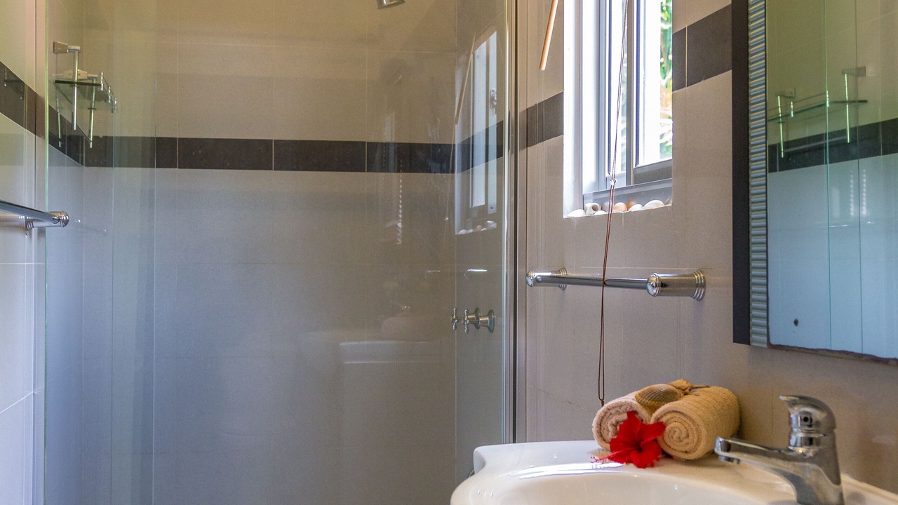 Photo of Bathroom in Anse Royale