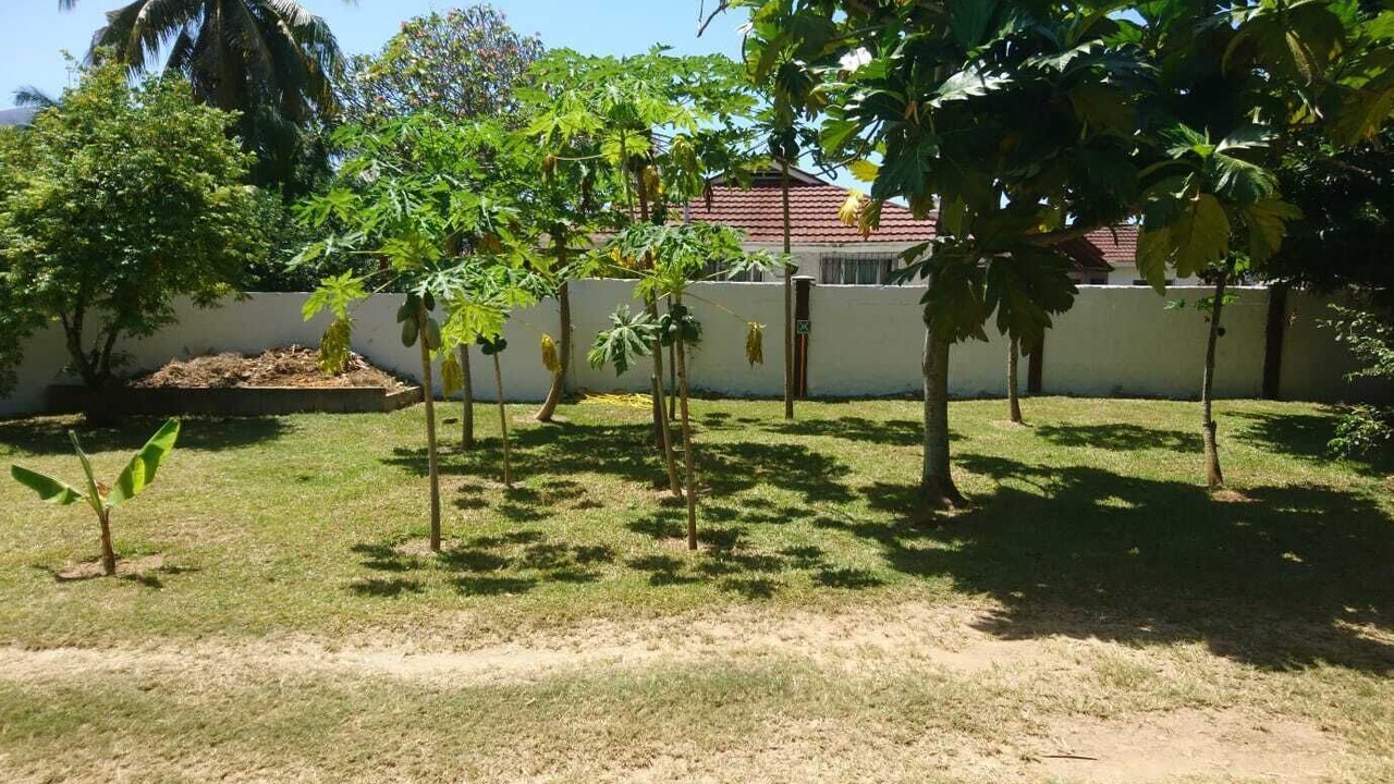Photo of Outdoor in Mahe Island