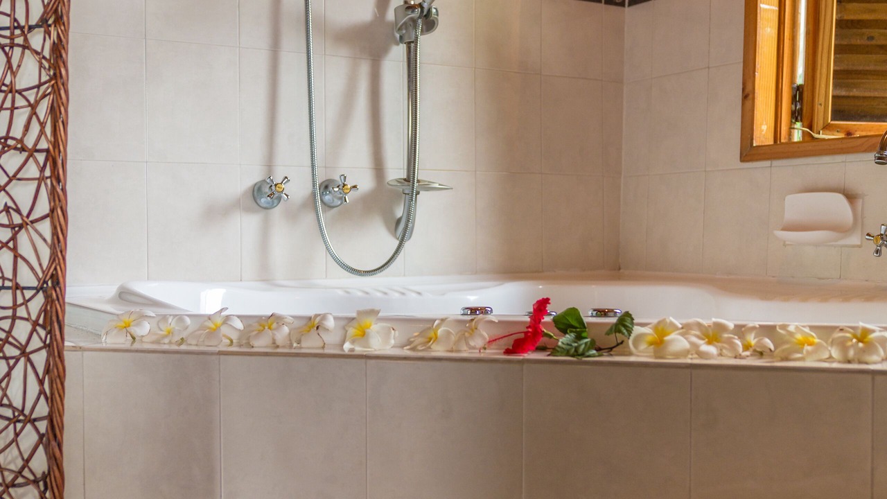Photo of Bathroom in Anse Royale