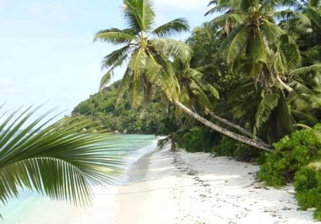 Photo of Others in Anse Royale