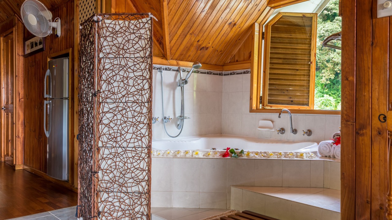 Photo of Bathroom in Anse Royale